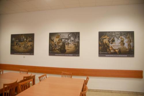 IMG 7686